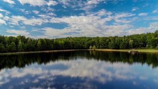 Bama Lakeside Retreat - Tuscaloosa - 4