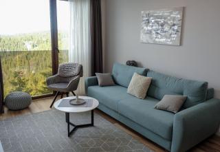 Vila Planinsko Blago - Kopaonik - 1