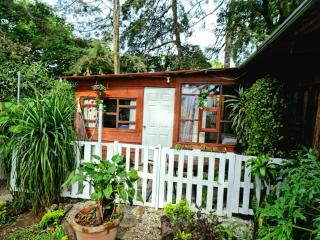 CABAÑAS EN ZONA 16 - Guatemala - 9