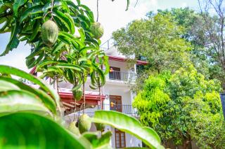 Three Elephant Holiday Inn - 3