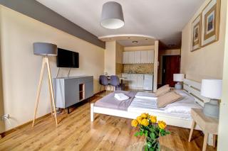 Krynica Apartamenty Apartament Studio Centrum 70 - Krynica Zdrój - 6