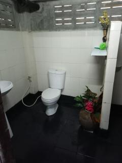 tree house chiang mai - 9