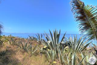 T3 pieds dans l’eau – Le Bordmer – La Saline-les-Bains - 2