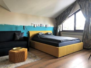 Borovets Forest view (A56) - 7