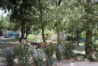 La Flassantine - Appartement - Flassans-sur-Issole - 6