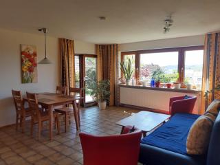 Haus Irene mit Terrasse - Salem - 0