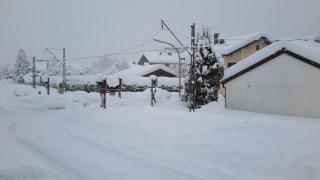 Florentiner Haus - Kiefersfelden - 3