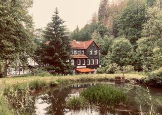 Waldhaus Wolfsbachmühle - Hohegeiß - 7