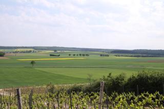 Landhotel & Weingut Espenhof - Flonheim - 6