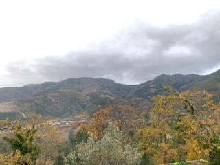 Casa do Julien Mountain Experience - Vila Real - 2