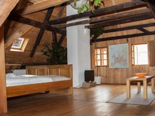 Apartment Soukenicka 44 - Český Krumlov - 3