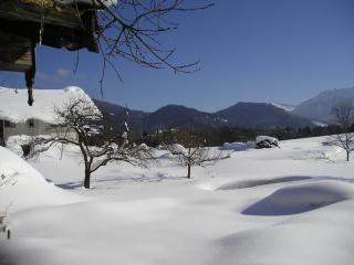 Höglhof inkl. Chiemgaukarte - Ruhpolding - 6
