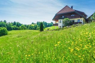 Hubertus Lodge - Ibach - 0