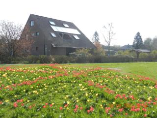 Fewo 2748 in Tossens - Tossenserdeich - 0