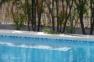 Villa de Mango - Fontein - 3