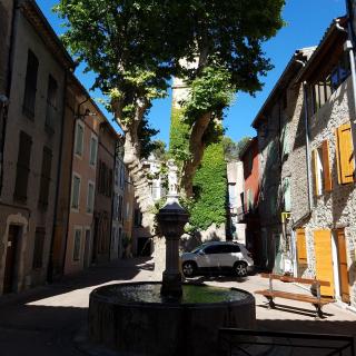 La Maison Provençale - La Roquebrussanne - 2