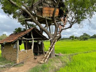 Thilina Homestay - Sigiriya - 1