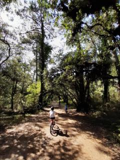 La maison de Maritxu - Entre plage et foret - Landes - Pays Basque - Tarnos - 1