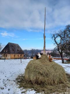 Pensiunea Agroturistica Casa Pribegilor - Breb - 1