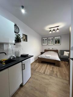 Kameralne Studio w centrum Częstochowy - Częstochowa - 8