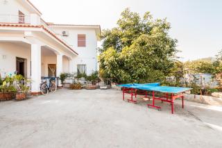 The Great Garden with pool, parking & wifi - 3