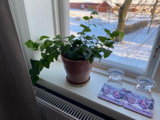 Bjälbo Gästhus B&B - 6