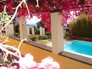 Private Pool Apt. with Great View - Funchal - 5