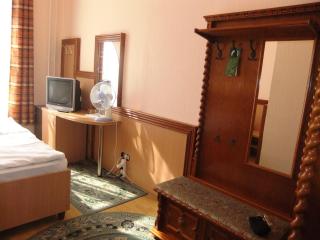 Tisza Hotel - 9