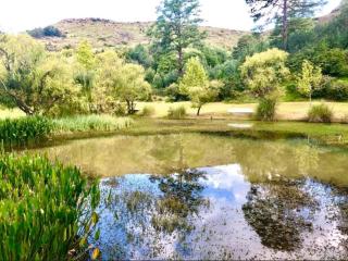 Esigodini Cottage - Underberg - 7