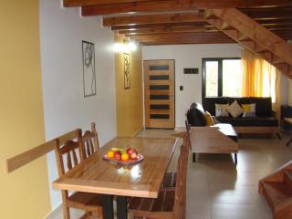 Apart LAR DEL PEHUEN - Villa Pehuenia - 0