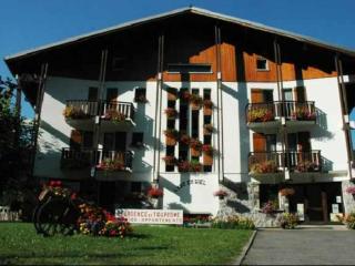 Studio avec balcon, wifi et parking à 500m du centre - FR-1-524-47 - Morzine - 6