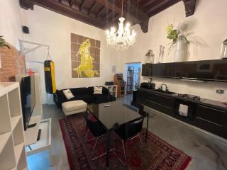 Luxury Apartament Florence - Firenze - 8