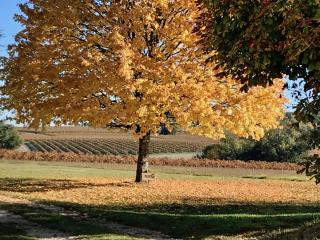 Le Pigeonnier Gite - 4