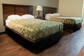Econo Lodge Near Fort Gregg-Adams I-295 - Hopewell - 6