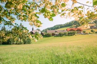 Alpengasthof Moser - Karchau - 9