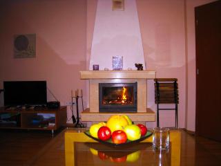 Solar nest with fireplace and panoramic view 700m from skilift and centrum - Bansko - 9