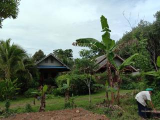 Cha Bungalow - Koh Yao Noi - 5