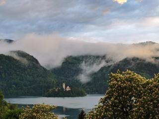BALCON Apartments - Bled - 4