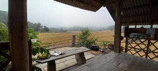 Chinopuu Hut Homestay Muangkong ชิโนปู ฮัท โฮมสเตย์ เมืองคอง เชียงดาว - Mueang Khong - 9