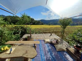 Chinopuu Hut Homestay Muangkong ชิโนปู ฮัท โฮมสเตย์ เมืองคอง เชียงดาว - Mueang Khong - 5