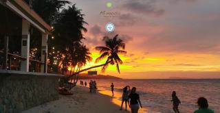 Mimosa Resort & Spa - 3