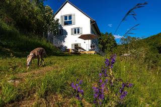 Freistehendes Ferienhaus mit Kamin, Sauna, atemberaubenden Blick ins Tal, mehrere Terrassen, 1500qm Grundstück 1,6m hoch eingezäunt - Gerabronn - 0