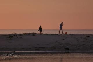 Benswan at the Bay - Modern 5-bedroom Holiday Home - Apollo Bay - 3