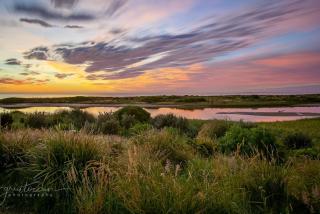 Benswan at the Bay - Modern 5-bedroom Holiday Home - Apollo Bay - 5