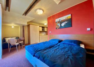 Apartment with beautiful view of High Tatras - Veľká Lomnica - 9