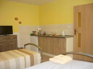 Apartments - Penzion Lena - Hradec Králové - 9