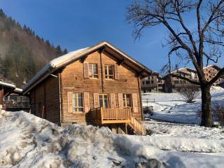Chalet Tire-corde - Praz-sur-Arly - 8