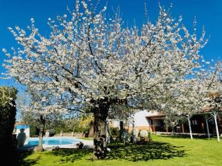 VILLA "Casa al Chiazzullo" - Mirabella Eclano - 4