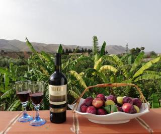The Great Garden with pool, parking & wifi - Avola - 8