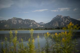 Hotel Pension Schwansee - Schwangau - 4